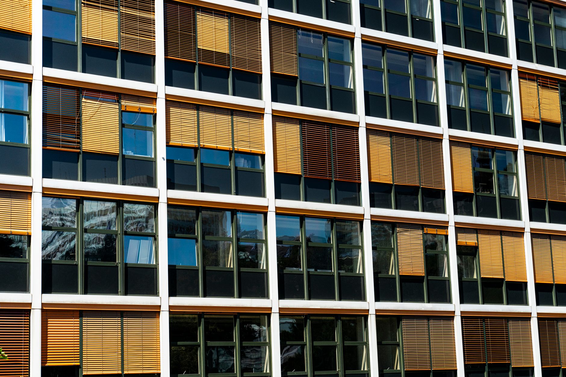 Façade de fenêtres et stores à Genève